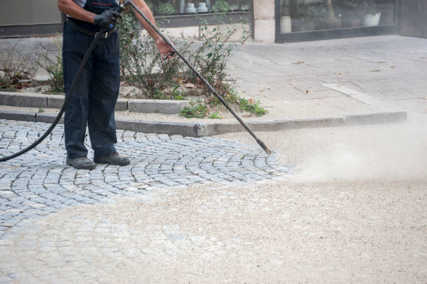 Best Driveway Pressure Washing  in Prudenville, MI